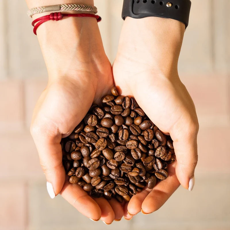 Coffee Planet | Professional Series - 100% Arabica Specialty Coffee