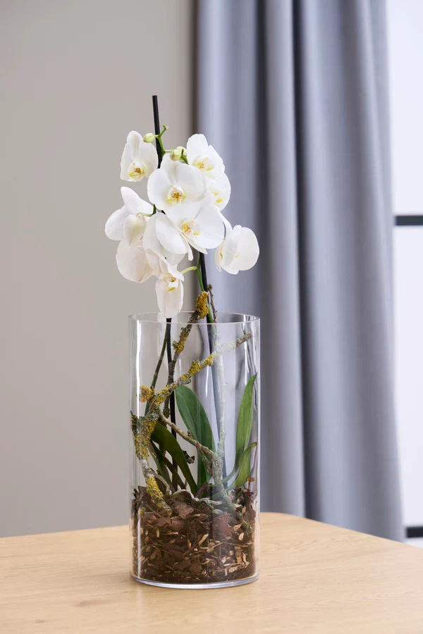 Day Vase Cylinder Ø15 x H30 cm