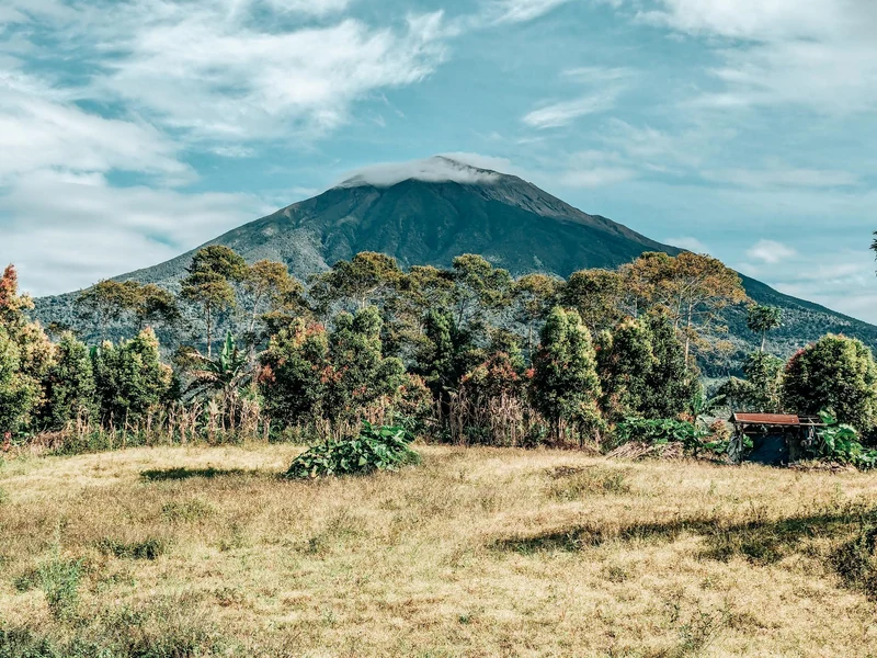 ALKO Kerinci Natural