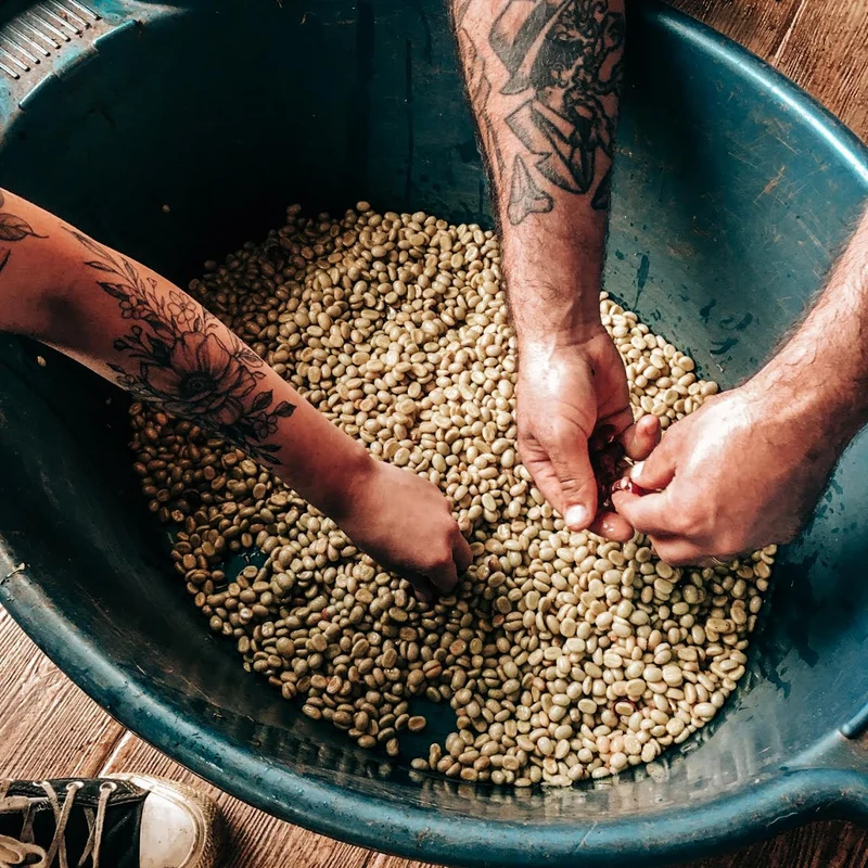 Makicuna Blend