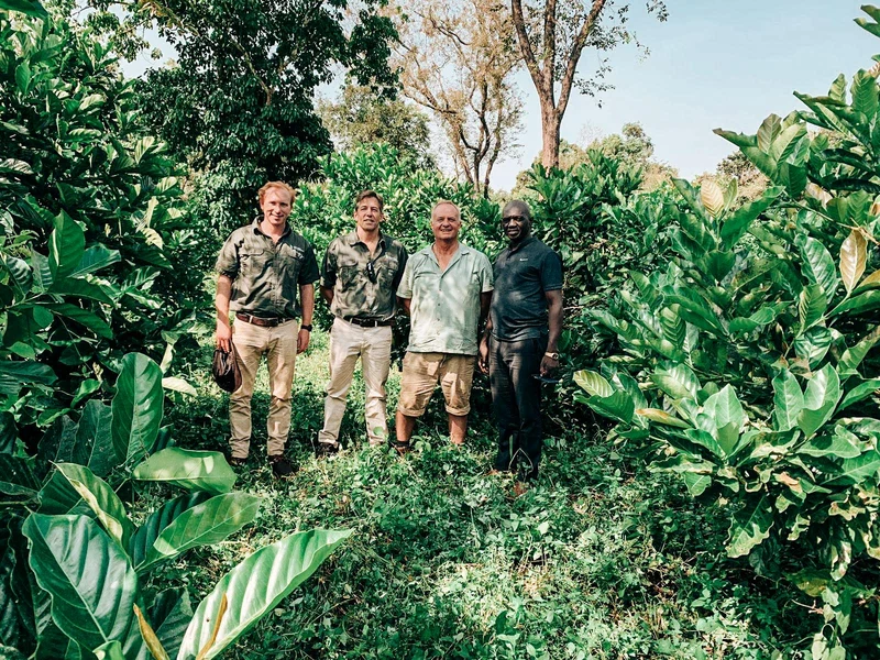 Equatoria Coffee Natural Robusta