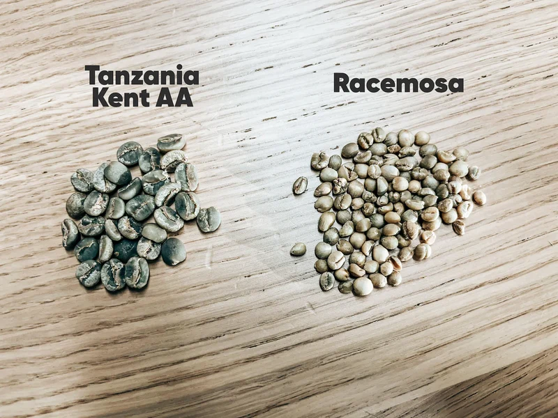 Washed Racemosa