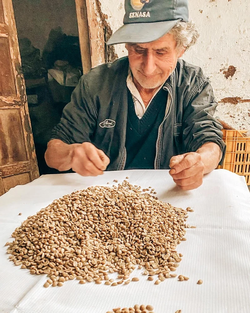 Ramos Garcia Family - Proyecto Otuzco - Yellow Honey Typica