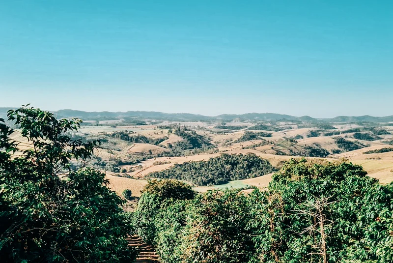 Sitio Maranhão - Experimental Brazil