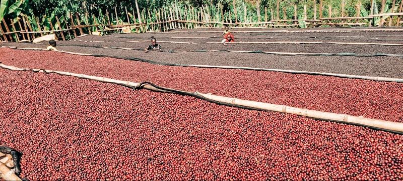 East African Natural Staple Subscription