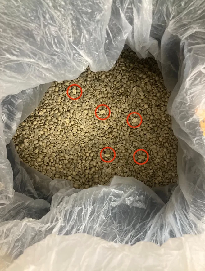 Andres Bazos - Red Caturra - ⚠️ Parchment Issue