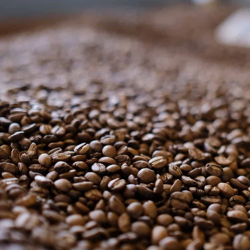 Campo Das Vertentes – Brasilien