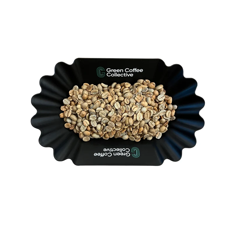 Green or Roasted Assessment Trays