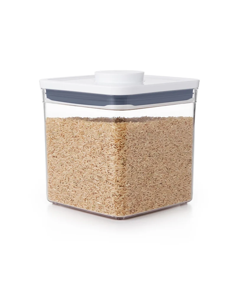 OXO POP Opbevaringsboks 2,6L.