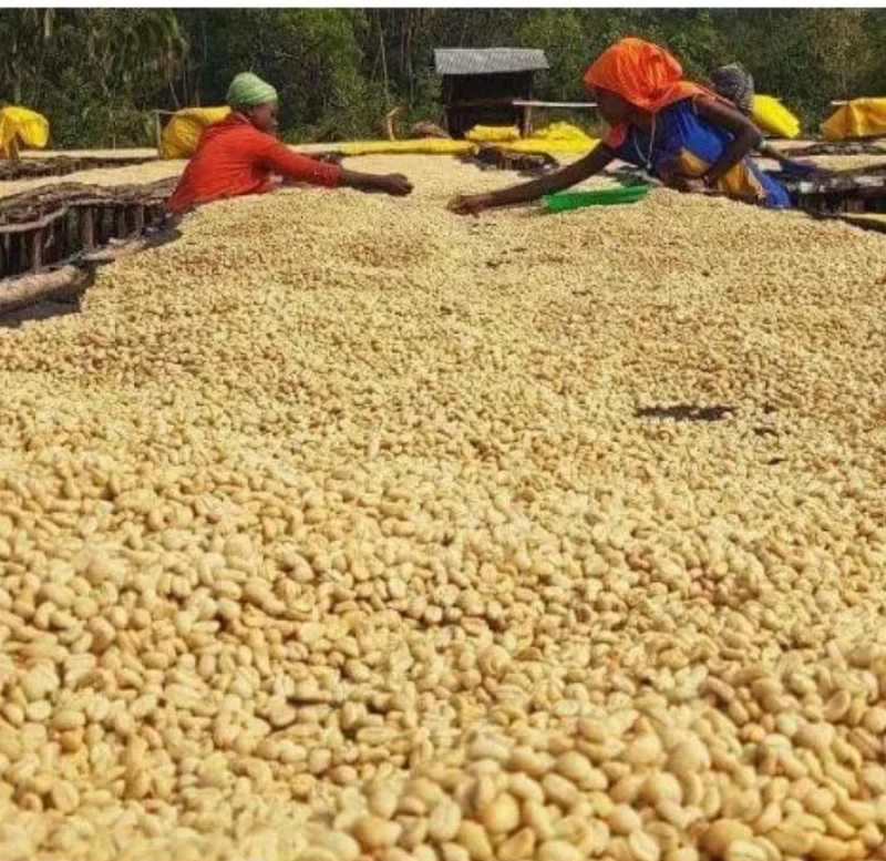 Ethiopia Sidamo