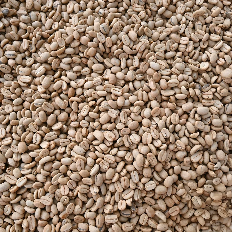 Guatemala Finca La Hermosa Orange Gesha Washed