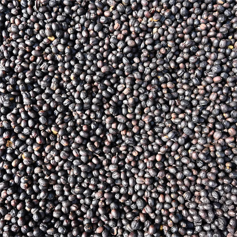 Guatemala Finca La Hermosa Gesha Natural