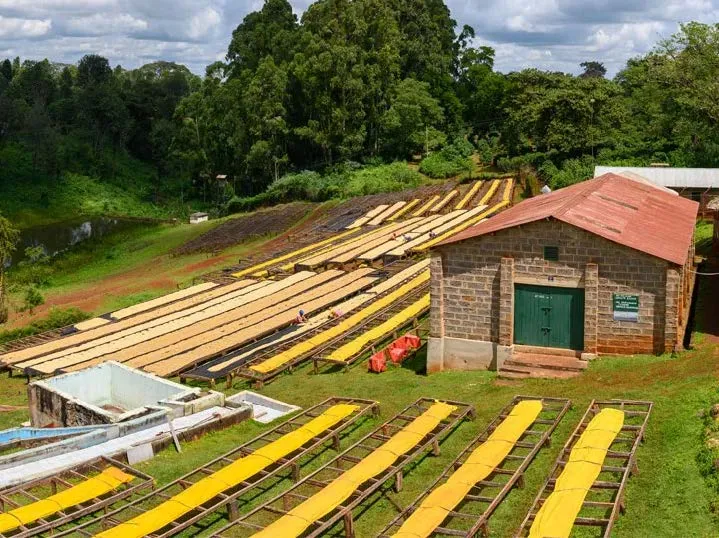 Kenya PB Kakindu