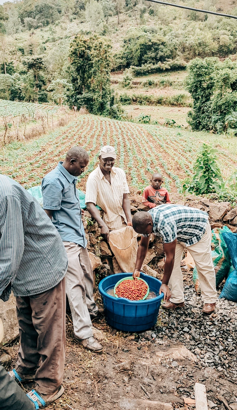 Kenya Orange CoFerment