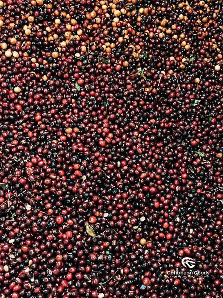 Amatillo Bourbon Catuai
