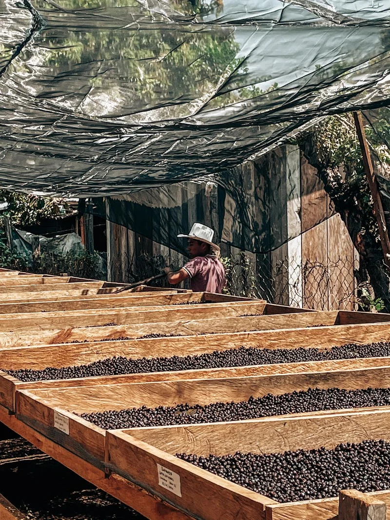 Marco Romero | Bourbon Natural