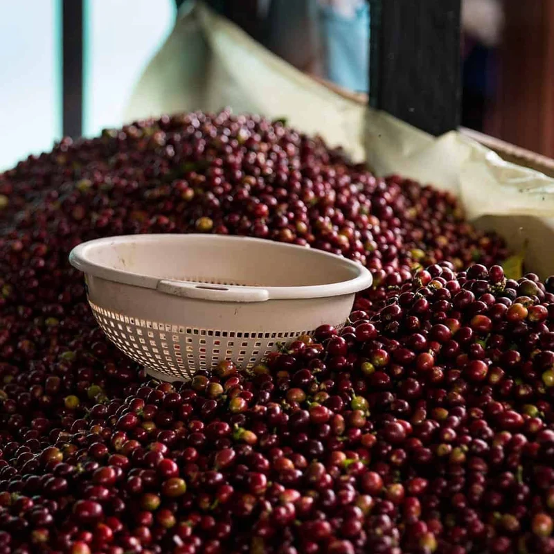 PS Blend – Honduras & Peru