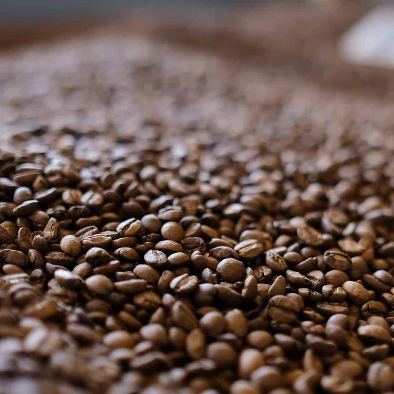 Sul de Minas Decaf – Brasilien
