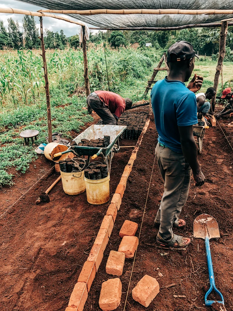 Kericho County AA - Kenyan Decaf