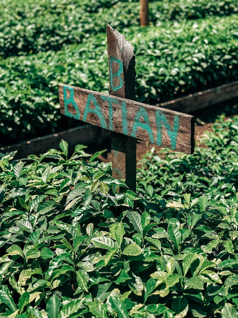 Priory Farm C