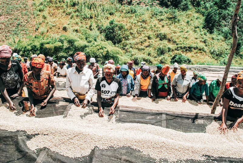 Kirunga Lot 14
