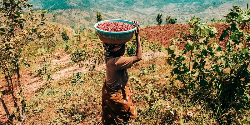 Kirunga Lot 14