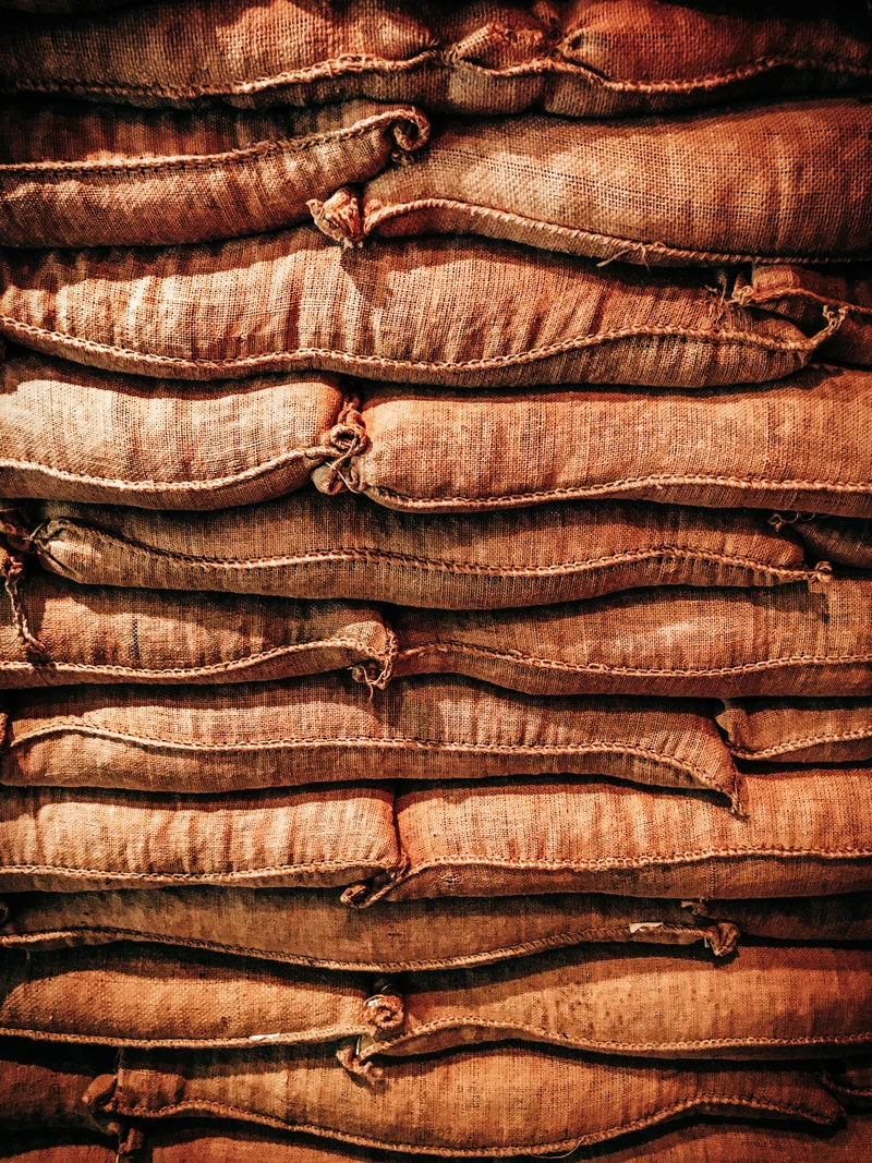 Vietnam Robusta Wet Polished Scr. 18