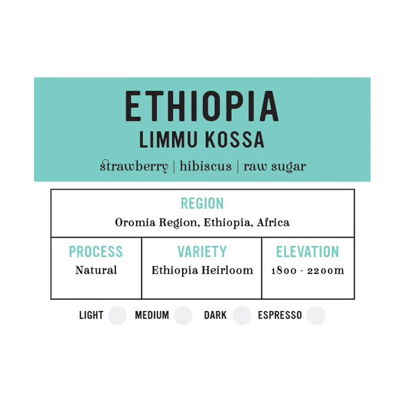 I.XXI WB Single Origin Ethiopia - Limmu Kossa Medium 12oz