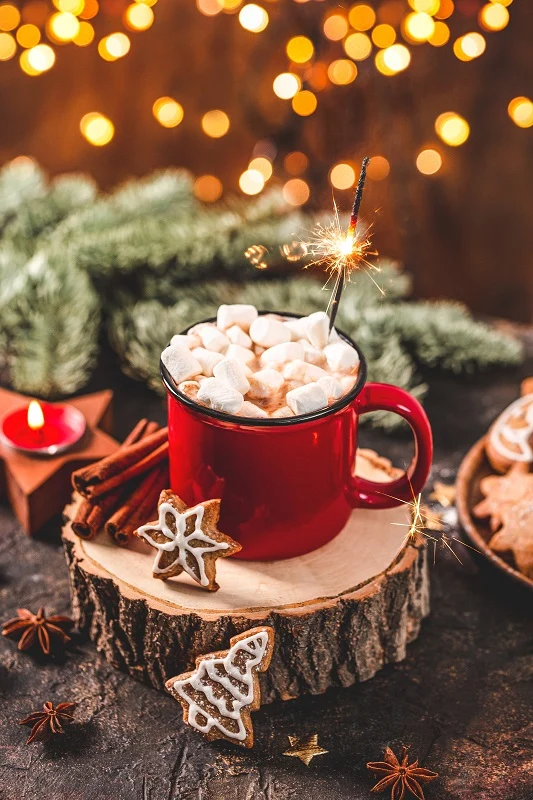 Gourmet Du Village Hot Chocolate - Festive - Reindeer
